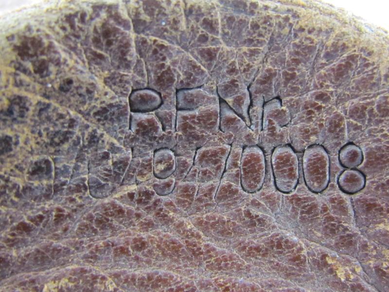 WH/SS Combat Y straps RB numbered With Tornister Both Named