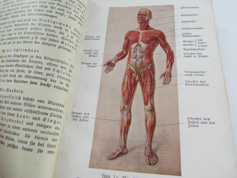 DRK Reichswehr/Wehrmacht Medical Training Book