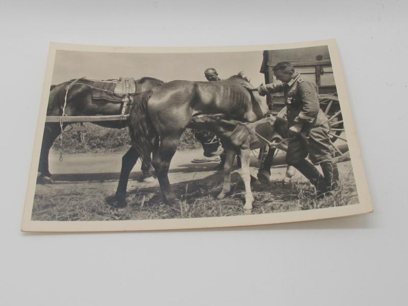 Postcard : Unsere Waffen-SS