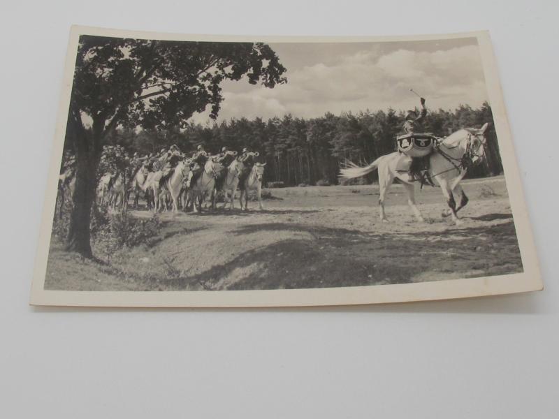 Postcard : Unsere Waffen-SS