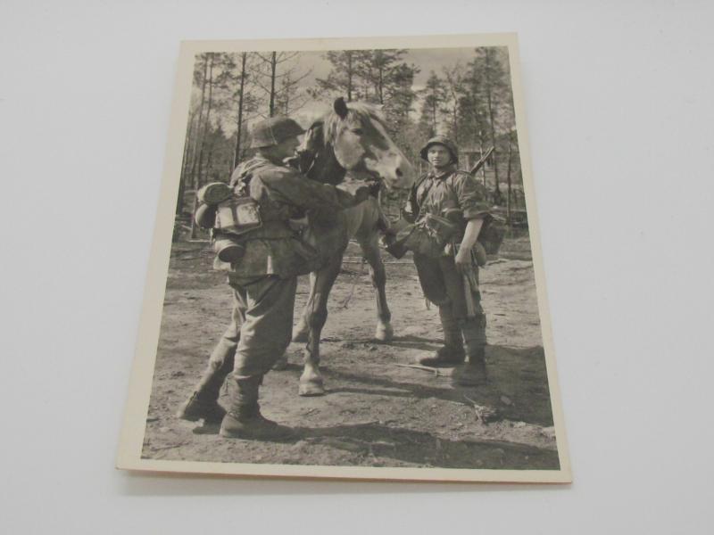 Postcard : Unsere Waffen-SS