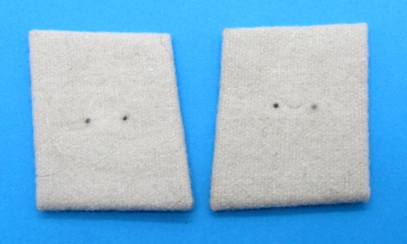 Hermann Göring division collar tabs