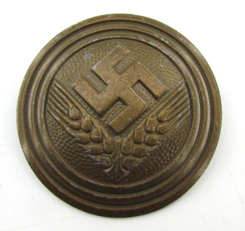 RADwJ Brooch for a 'Maidenführerin' (Assmann)
