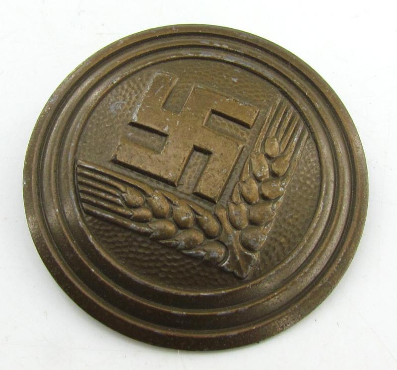 RADwJ Brooch for a 'Maidenführerin' (Assmann)